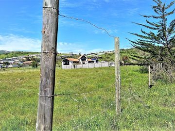Venta de Sitio plano, Agrícola, de 5.000 m2.,  en Tabolango, Limache. 1.636 UF