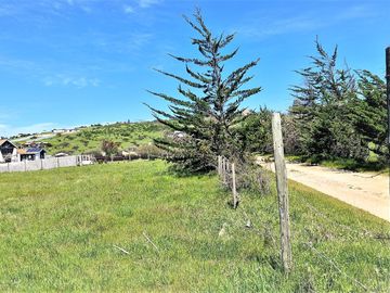 Venta de Sitio plano, Agrícola, de 5.000 m2.,  en Tabolango, Limache. 1.636 UF