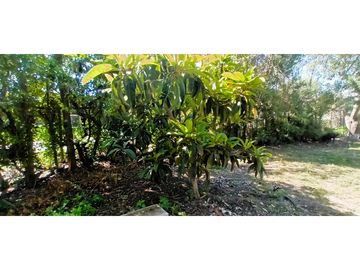 Venta de parcela de 6.000 m2. En San Isidro de Quillota -  casa de 240 m2. 12.036 UF.