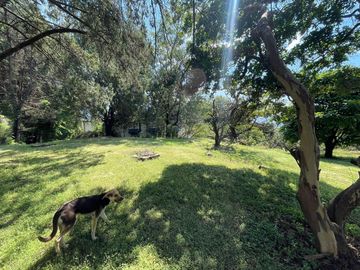 TERRENO EN VENTA EN MALINALCO  SOBRE CARRETERA EN LA ENTRADA