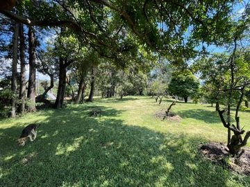TERRENO EN VENTA EN MALINALCO  SOBRE CARRETERA EN LA ENTRADA