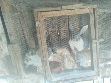 Rancho, Huerta y Casa de descanso en venta en Ocuilan Edo. de México