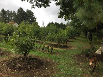 Rancho, Huerta y Casa de descanso en venta en Ocuilan Edo. de México