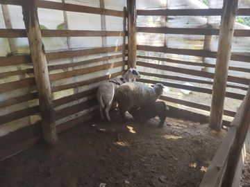 Rancho, Huerta y Casa de descanso en venta en Ocuilan Edo. de México