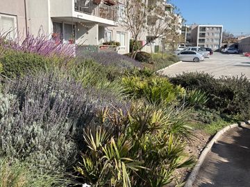Departamento en arriendo  en MAIPÚ