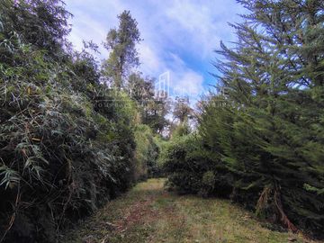 Parcela en venta  en VALDIVIA