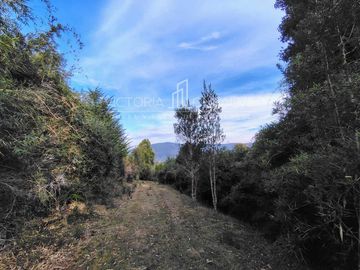 Parcela en venta  en VALDIVIA