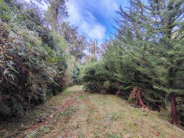 Parcela en venta  en VALDIVIA