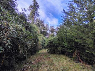 Parcela en venta  en VALDIVIA