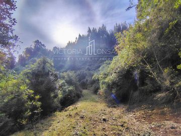 Parcela en venta  en VALDIVIA