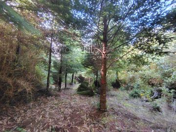 Parcela en venta  en VALDIVIA