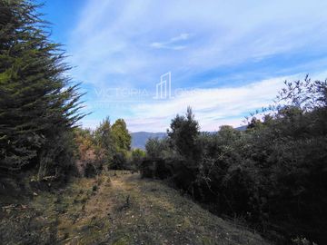 Parcela en venta  en VALDIVIA