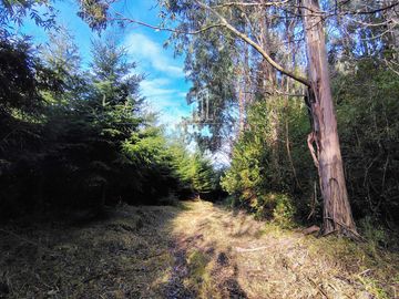 Parcela en venta  en VALDIVIA