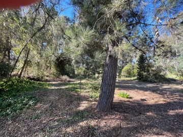 Parcela en venta  en SAN ANTONIO