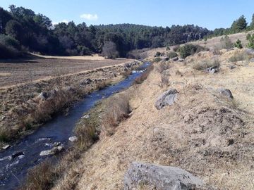 TERRENO EN VENTA CAMPESTRE EN VILLA VICTORIA