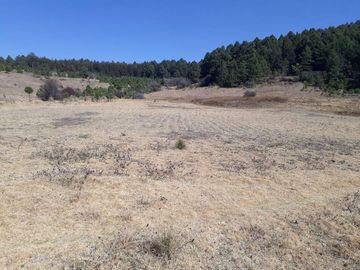 TERRENO EN VENTA CAMPESTRE EN VILLA VICTORIA