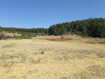 TERRENO EN VENTA CAMPESTRE EN VILLA VICTORIA