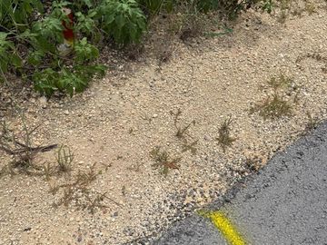 Terreno en Venta en Temozon Norte entrada por OXXO TEMOZON