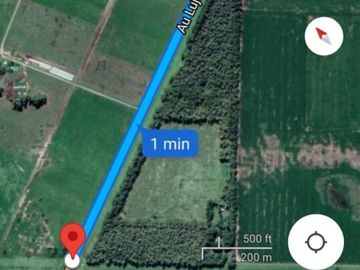 Oportunidad Venta Campo 21 Ha sobre Ruta 5 (Km 135) - Suipacha | Apta Comercial, Agro e Inversión. Monte Eucaliptus.