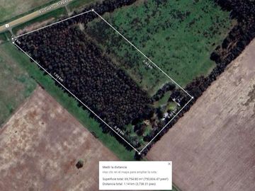 Oportunidad Venta Campo 21 Ha sobre Ruta 5 (Km 135) - Suipacha | Apta Comercial, Agro e Inversión. Monte Eucaliptus.