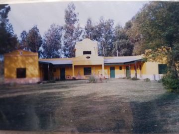 Oportunidad Venta Campo 21 Ha sobre Ruta 5 (Km 135) - Suipacha | Apta Comercial, Agro e Inversión. Monte Eucaliptus.