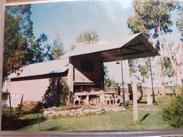 Oportunidad Venta Campo 21 Ha sobre Ruta 5 (Km 135) - Suipacha | Apta Comercial, Agro e Inversión. Monte Eucaliptus.