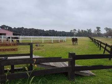 Venta | Lote 1564m2 | Haras San Pablo (Ruta 6, Km 149,5, General Rodríguez) | Apto crédito