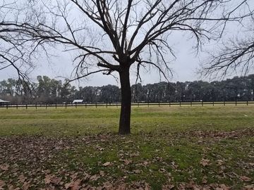 Venta | Lote 1564m2 | Haras San Pablo (Ruta 6, Km 149,5, General Rodríguez) | Apto crédito