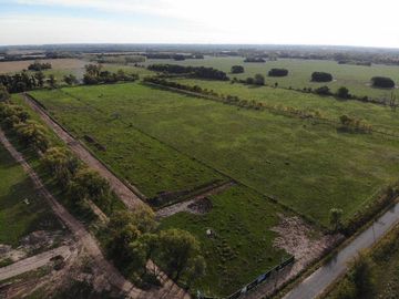 Lote Nativo Pilar