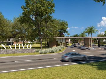 Lote Nativo Pilar