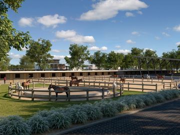 Lote Nativo Pilar