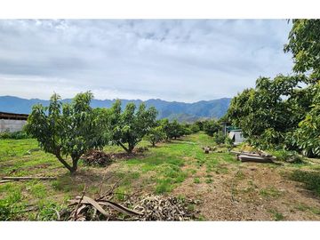 REBAJADO! Venta Terreno con producción!