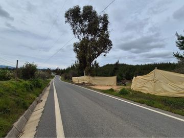 Parcela de 5200 m2 en Cauquenes