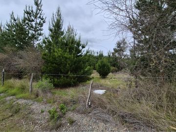 Parcela de 5200 m2 en Cauquenes