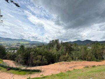 LOTE EN VENTA EN LA CEJA SECTOR PAYUCO