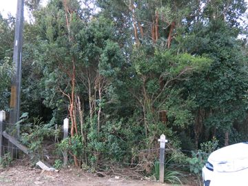 SITIO BAHÍA MANSA  - SAN JUAN DE LA COSTA