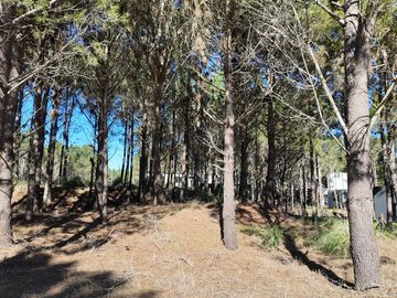 Terreno en venta pioneros Pinamar