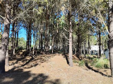 Terreno en venta pioneros Pinamar