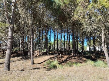 Terreno en venta pioneros Pinamar