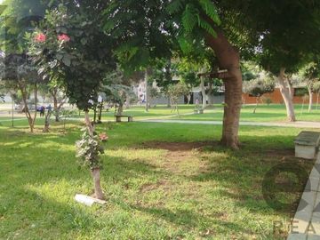 VENTA CASA 190 M2 PRO LIMA LOS OLIVOS