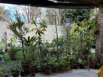 Casa de 4 ambientes en venta en Tigre con jardín, parrilla y balcón