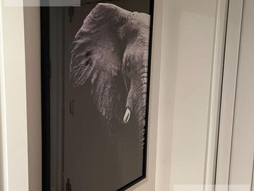 Departamento amoblado en alquiler