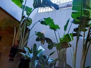 Departamento en venta - Villa Ortuzar