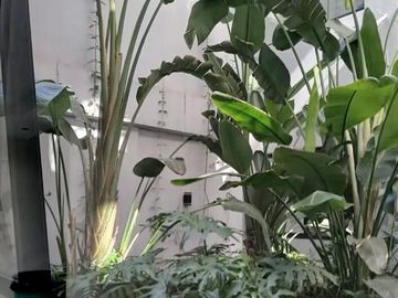 Departamento en venta - Villa Ortuzar