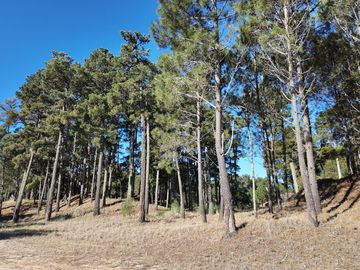 Lote en venta Pioneros