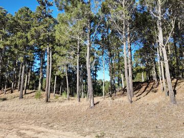 Lote en venta Pioneros