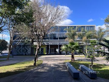 Alquiler - Local -CAMAÑO- 46 plaza