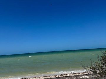 Venta Terreno Frente al mar en San Benito Yucatan