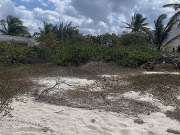 Venta Terreno Frente al mar en San Benito Yucatan