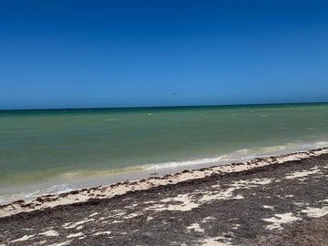 Venta Terreno Frente al mar en San Benito Yucatan